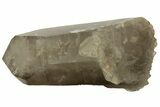 Massive, Natural Smoky Quartz Crystal - Brazil #219217-5